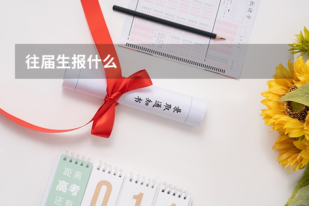 往届生报什么