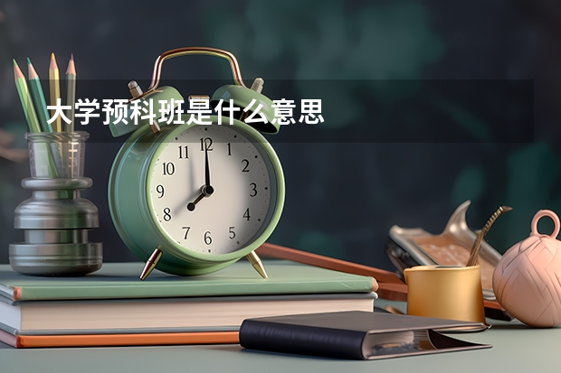 大学预科班是什么意思