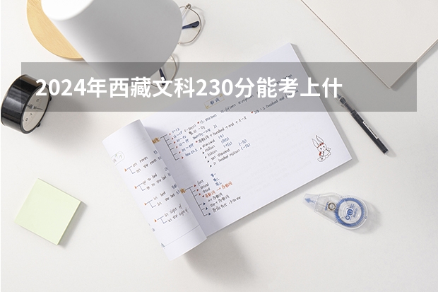 2024年西藏文科230分能考上什么大学？
