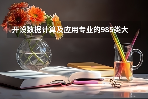 开设数据计算及应用专业的985类大学有哪些