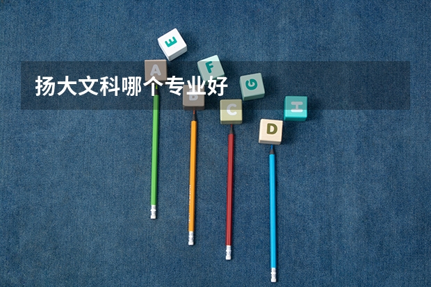 扬大文科哪个专业好