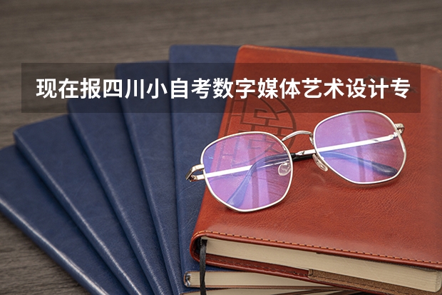 现在报四川小自考数字媒体艺术设计专科，2024年10月统考考试安排 西华师范大学小自考|24秋报名注册流程|可考10月统考