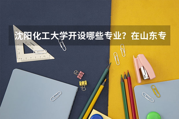 沈阳化工大学开设哪些专业？在山东专业录取分数线一览表