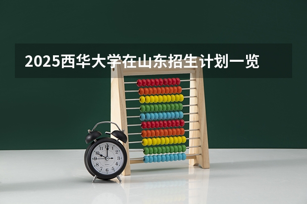 2025西华大学在山东招生计划一览表