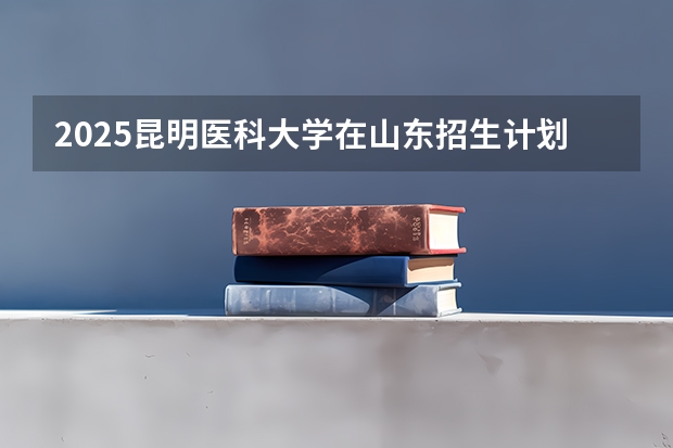 2025昆明医科大学在山东招生计划一览表