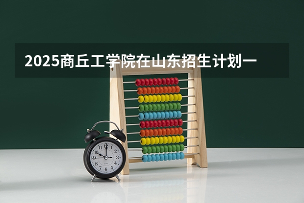 2025商丘工学院在山东招生计划一览表