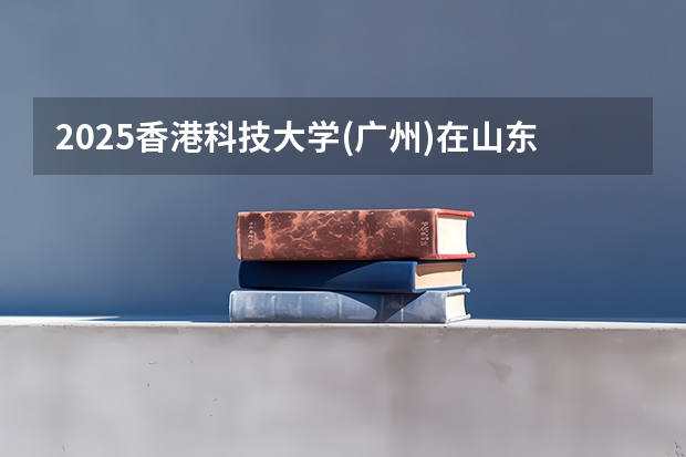 2025香港科技大学(广州)在山东招生计划一览表