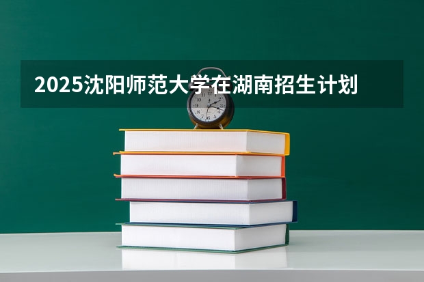 2025沈阳师范大学在湖南招生计划一览表