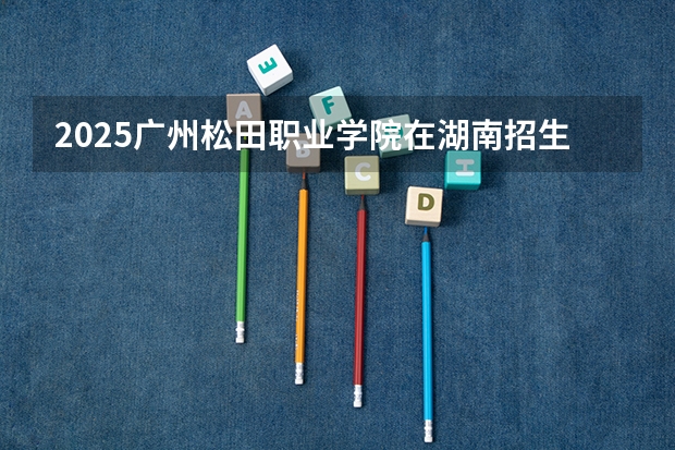 2025广州松田职业学院在湖南招生计划一览表