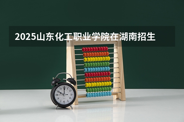 2025山东化工职业学院在湖南招生计划一览表