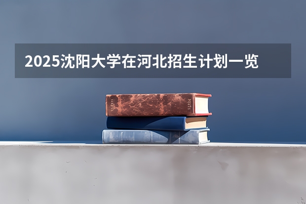 2025沈阳大学在河北招生计划一览表