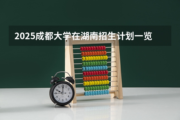 2025成都大学在湖南招生计划一览表