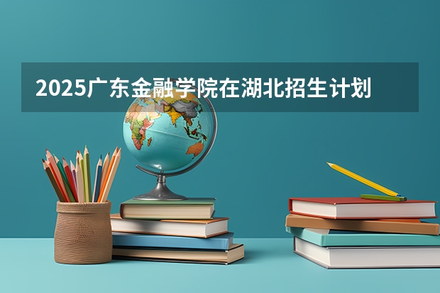 2025广东金融学院在湖北招生计划一览表