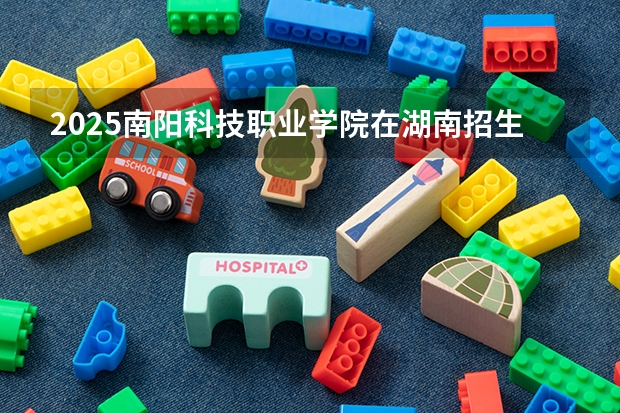 2025南阳科技职业学院在湖南招生计划一览表