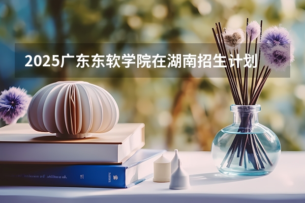 2025广东东软学院在湖南招生计划一览表