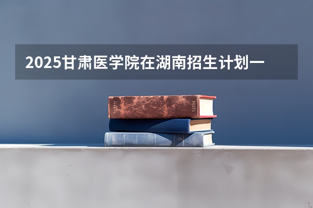 2025甘肃医学院在湖南招生计划一览表