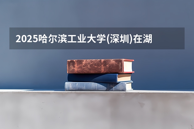 2025哈尔滨工业大学(深圳)在湖南招生计划一览表