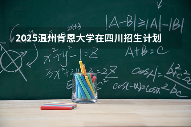 2025温州肯恩大学在四川招生计划一览表