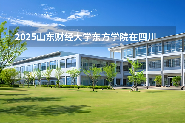 2025山东财经大学东方学院在四川招生计划一览表