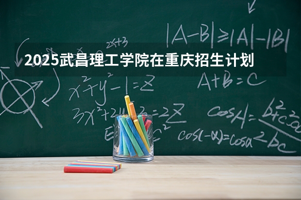 2025武昌理工学院在重庆招生计划一览表