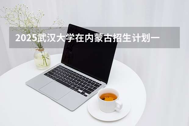 2025武汉大学在内蒙古招生计划一览表