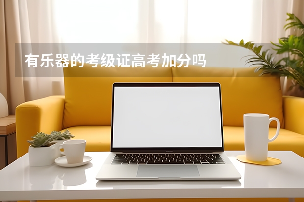 有乐器的考级证高考加分吗
