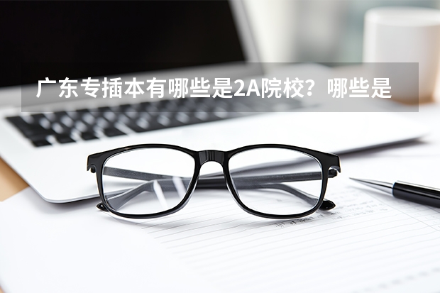 广东专插本有哪些是2A院校？哪些是2B院校？两者区别在哪？