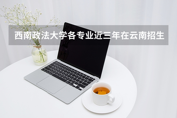 西南政法大学各专业近三年在云南招生人数 学费多少钱