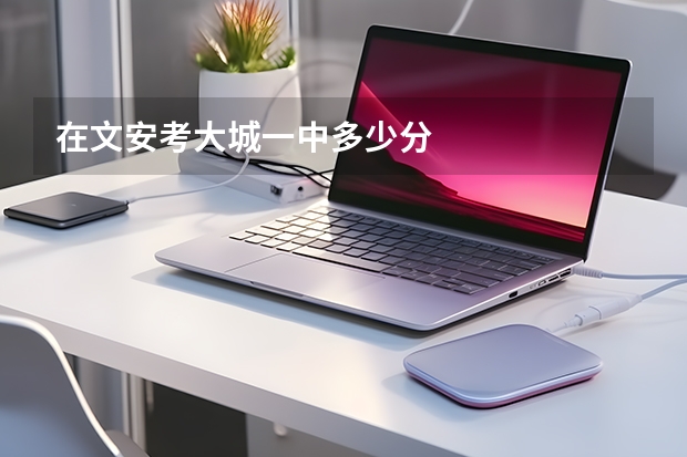 在文安考大城一中多少分