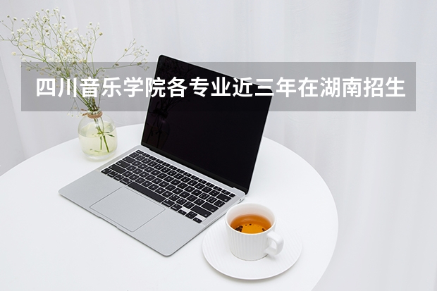 四川音乐学院各专业近三年在湖南招生人数 学费多少钱
