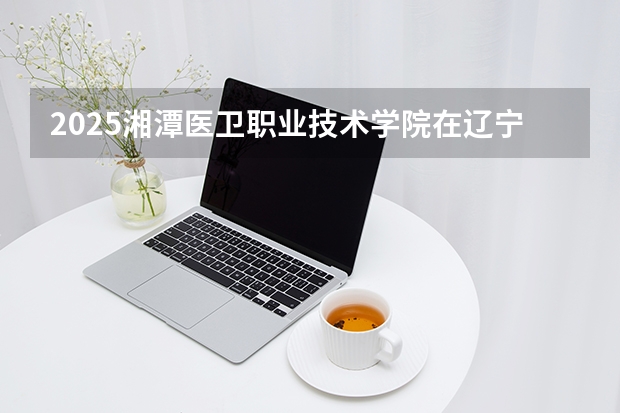 2025湘潭医卫职业技术学院在辽宁招生计划一览表