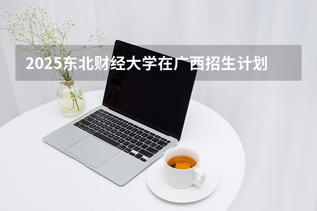 2025东北财经大学在广西招生计划一览表