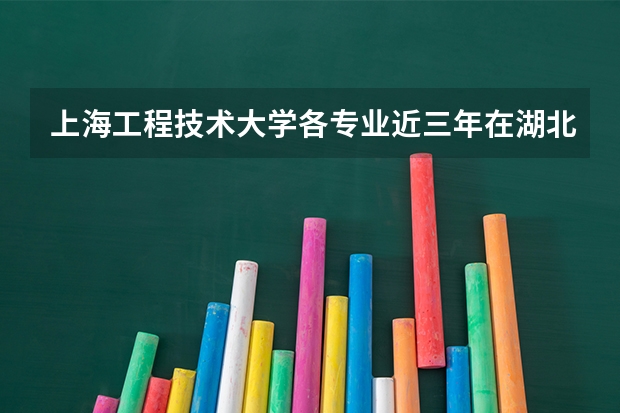上海工程技术大学各专业近三年在湖北招生人数 学费多少钱