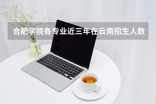 合肥学院各专业近三年在云南招生人数 学费多少钱