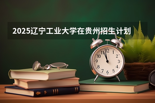 2025辽宁工业大学在贵州招生计划一览表