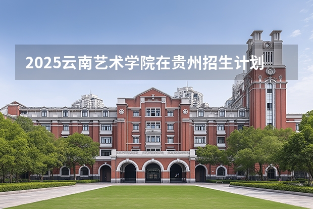 2025云南艺术学院在贵州招生计划一览表