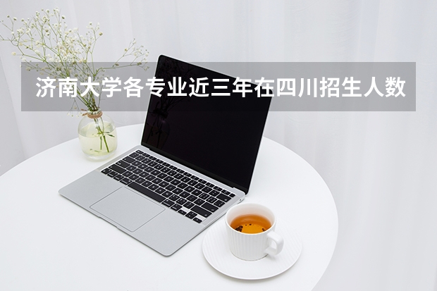 济南大学各专业近三年在四川招生人数 学费多少钱