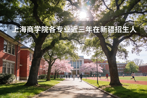 上海商学院各专业近三年在新疆招生人数 学费多少钱