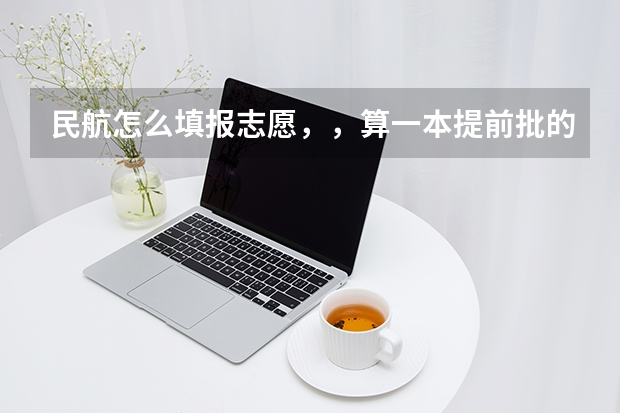 民航怎么填报志愿，，算一本提前批的吗？？