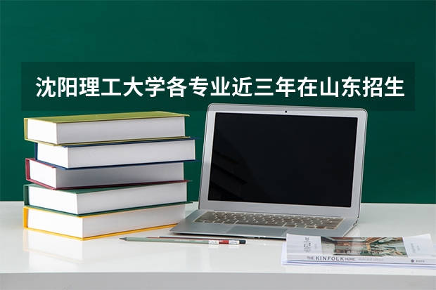 沈阳理工大学各专业近三年在山东招生人数 学费多少钱