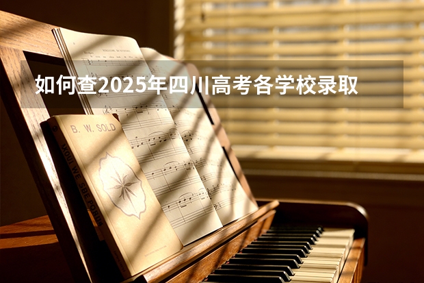 如何查2025年四川高考各学校录取分数