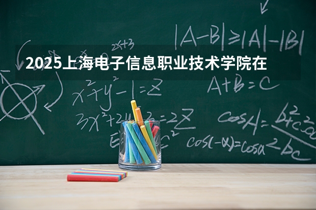 2025上海电子信息职业技术学院在贵州招生计划一览表