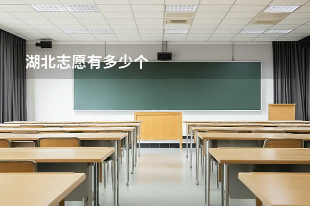湖北志愿有多少个