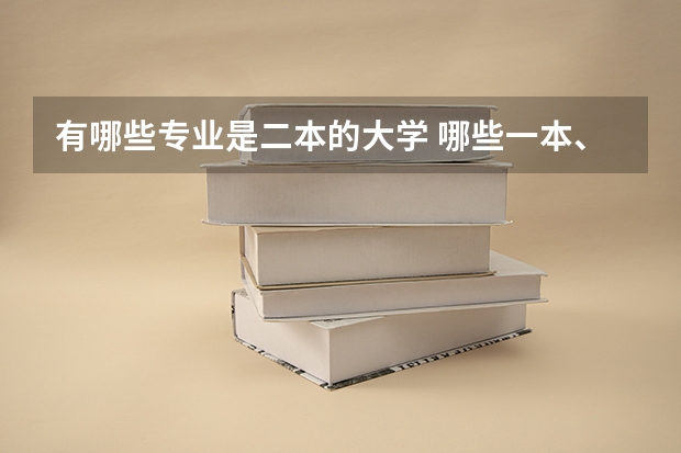 有哪些专业是二本的大学 哪些一本、二本的大学有动画专业？