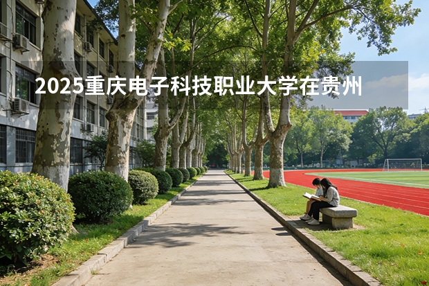 2025重庆电子科技职业大学在贵州招生计划一览表