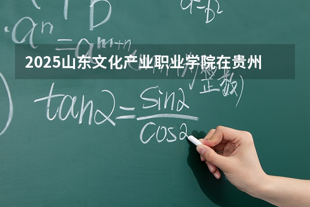 2025山东文化产业职业学院在贵州招生计划一览表