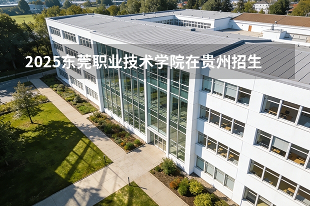2025东莞职业技术学院在贵州招生计划一览表