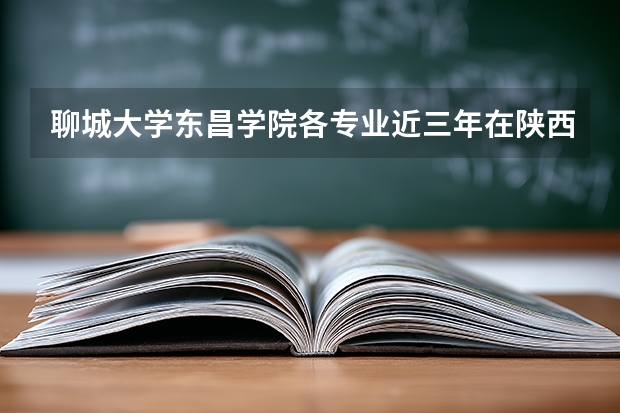 聊城大学东昌学院各专业近三年在陕西招生人数 学费多少钱