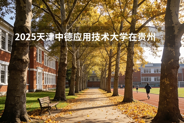 2025天津中德应用技术大学在贵州招生计划一览表