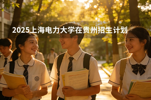 2025上海电力大学在贵州招生计划一览表
